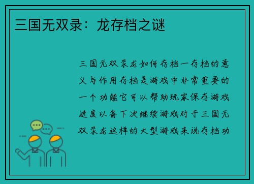 三国无双录：龙存档之谜